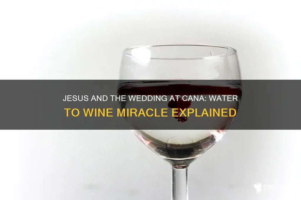did jesus turn water into alcohol