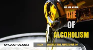 Joe Wilson's Death: Alcoholism's Role in His Passing Explored