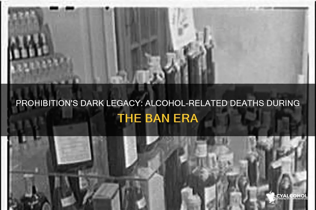 did more people die from alcohol during prohibition