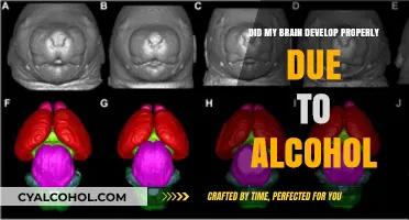 Alcohol's Impact on Brain Development: Did My Mind Mature Properly?