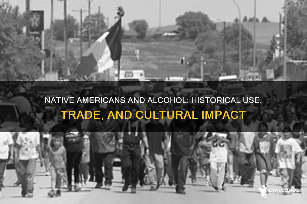 did native americans have alcohol