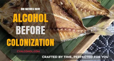 Pre-Colonial Native Alcohol: Indigenous Traditions Before European Contact
