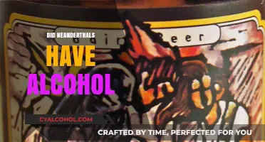Neanderthal Brewing Secrets: Did They Enjoy Alcoholic Beverages?