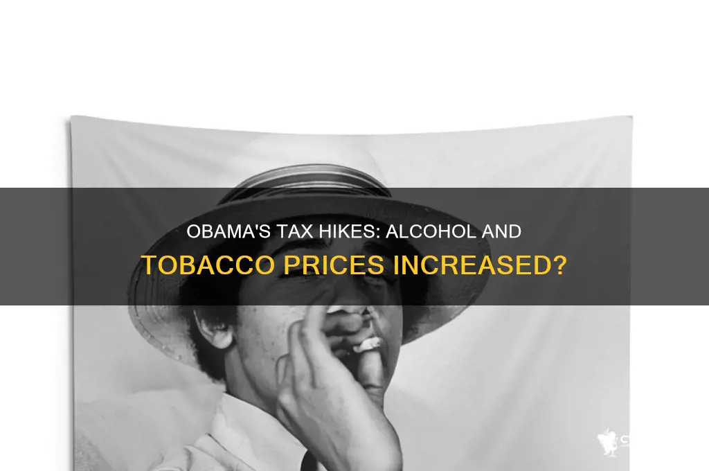did obama raise taxes on alcohol and tobacco