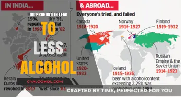 Prohibition's Paradox: Did Banning Alcohol Actually Reduce Consumption?