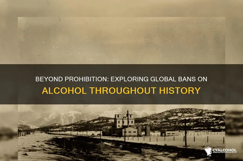 did sny other nation prohibit alcohol