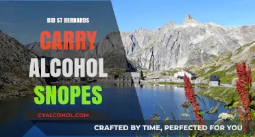 St. Bernards and Alcohol: Separating Myth from Reality