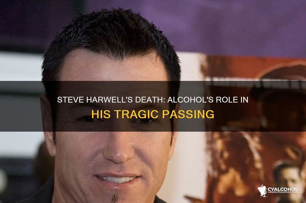did steve harwell die from alcohol