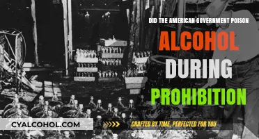 Prohibition's Deadly Secret: Did the U.S. Government Poison Alcohol?