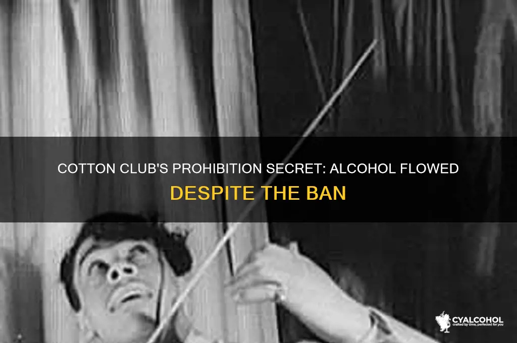did the cotton club have alcohol during prohibition