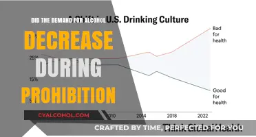 Prohibition's Paradox: Did Alcohol Demand Truly Decline in the 1920s?