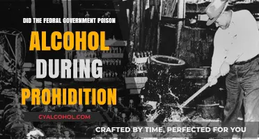 Did the Federal Government Poison Alcohol During Prohibition?