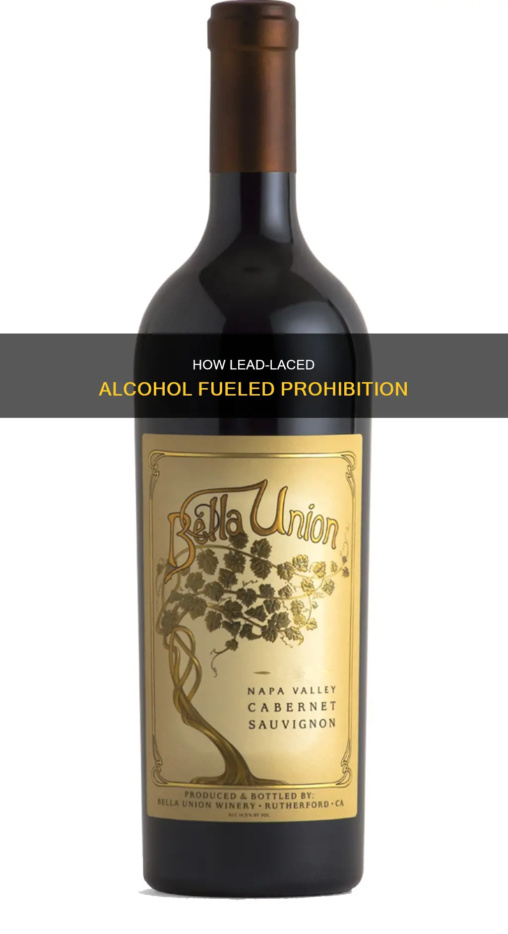 did the government put lead in alcohol during prohibition