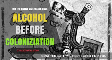 Pre-Colonial Native American Beverages: Alcoholic or Not?