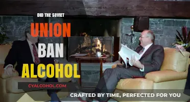 Soviet Union's Alcohol Ban: History, Impact, and Legacy Explored