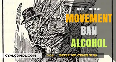 Did the Temperance Movement Successfully Ban Alcohol in America?
