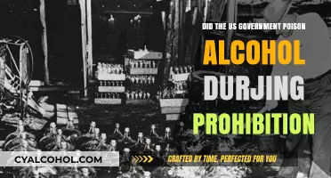 Deadly Prohibition: Did the US Government Poison Alcohol?