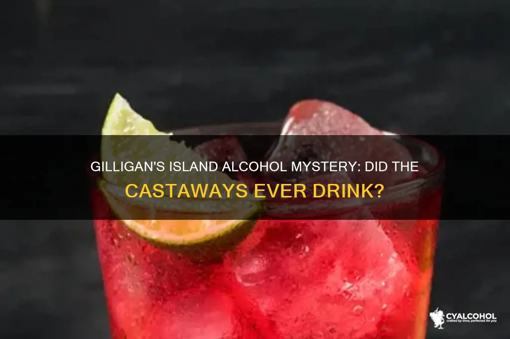 did they have alcohol on gilligan