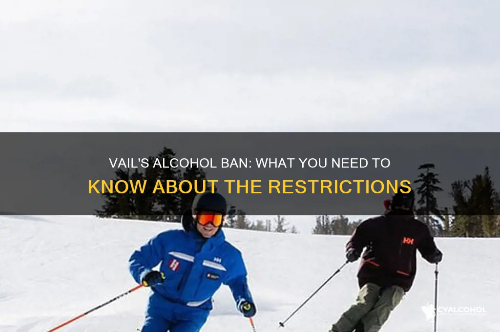 did vail ban alcohol