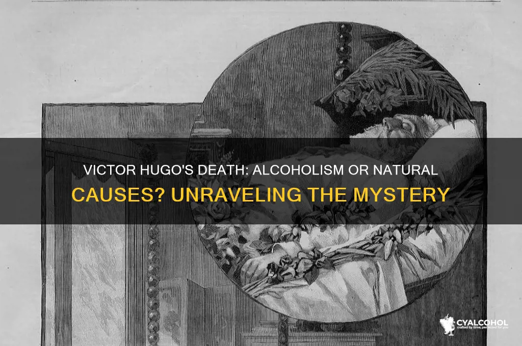 did victor hugo die of alcoholism
