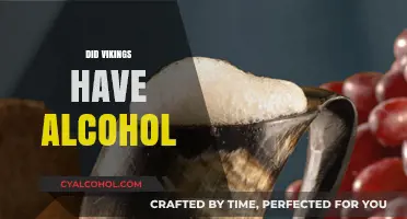Viking Drinking Culture: Uncovering Their Love for Alcoholic Beverages