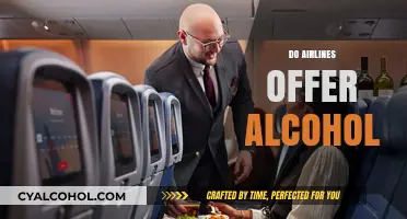 Do Airlines Serve Alcohol? Exploring In-Flight Beverage Policies and Options