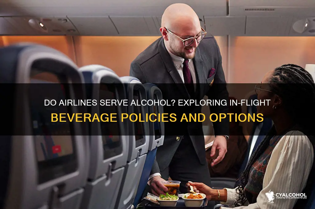 do airlines offer alcohol