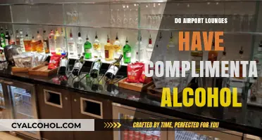 Complimentary Alcohol in Airport Lounges: What Travelers Need to Know