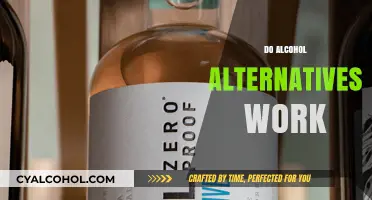 Exploring Alcohol Alternatives: Do They Really Mimic the Real Thing?