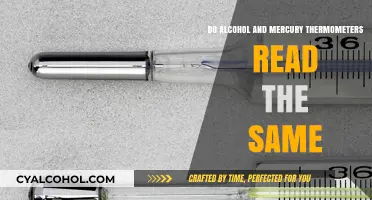 Alcohol vs. Mercury Thermometers: Do Temperature Readings Match?
