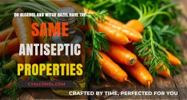 Alcohol vs. Witch Hazel: Which Is a Better Antiseptic?