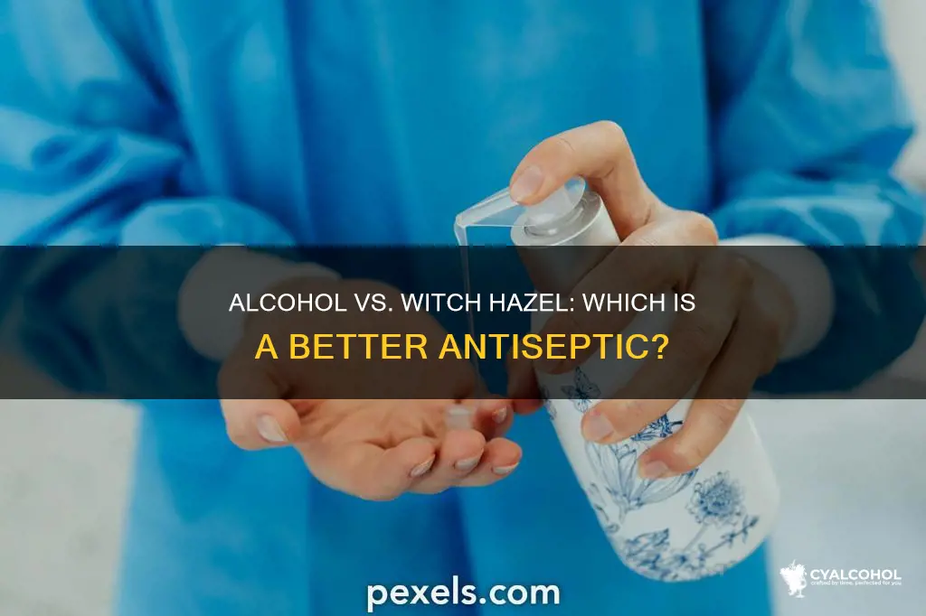 do alcohol and witch hazel have the same antiseptic properties