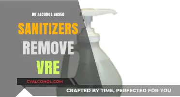 Alcohol-Based Sanitizers: Effective Against VRE or Not?