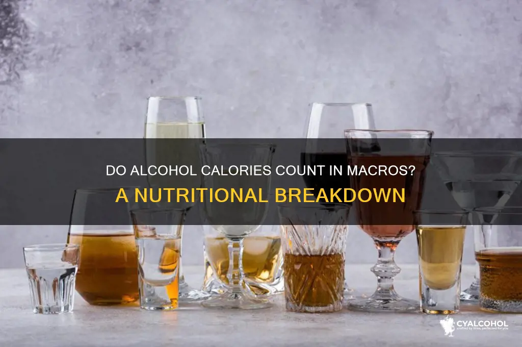 do alcohol calories count in macros