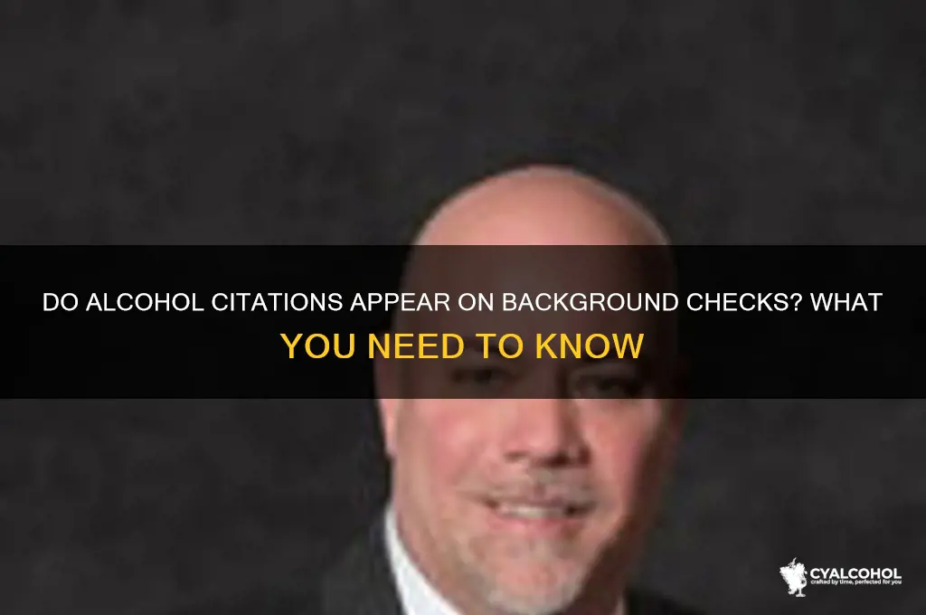 do alcohol citations show up on background checks