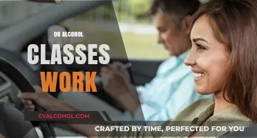 Do Alcohol Classes Effectively Reduce Risky Behavior and Promote Sobriety?