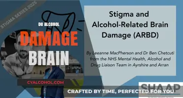 How Alcohol Impacts Your Brain: Understanding the Risks and Damage