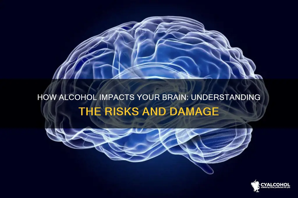 do alcohol damage brain