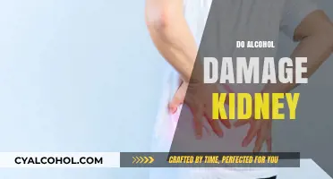Alcohol and Kidney Health: Understanding the Risks of Damage