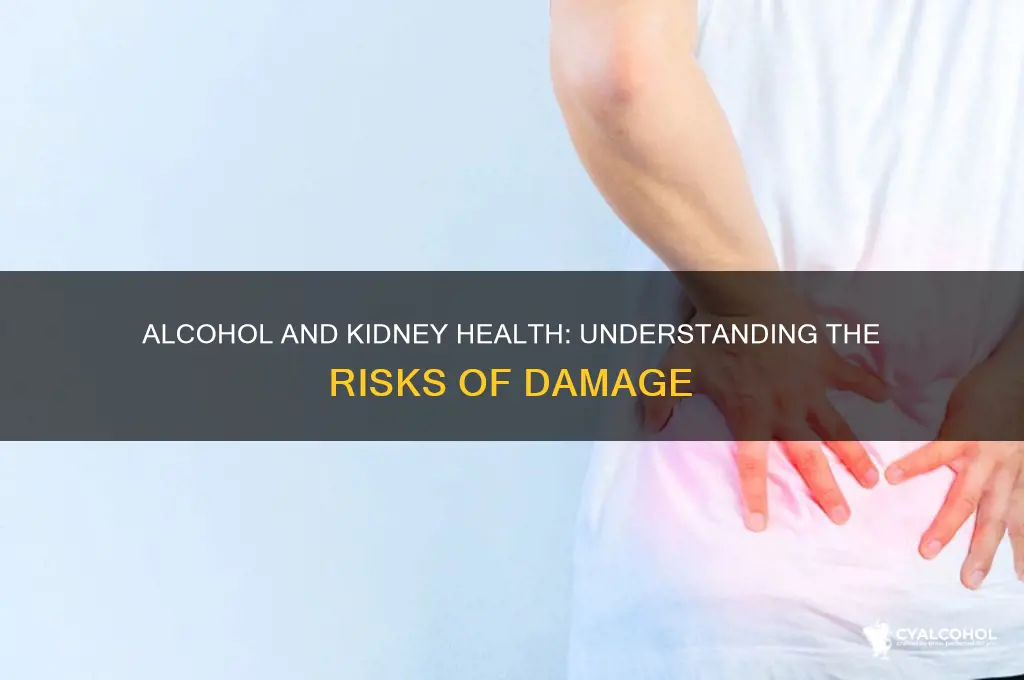 do alcohol damage kidney