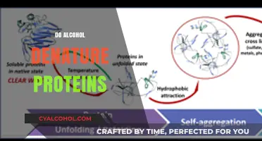 Does Alcohol Denature Proteins? Unraveling the Science Behind the Myth