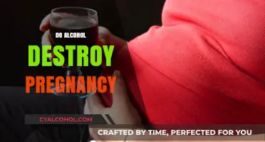 Alcohol and Pregnancy: Understanding the Risks and Potential Harm