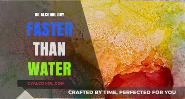 Alcohol vs. Water: Which Dries Faster and Why?