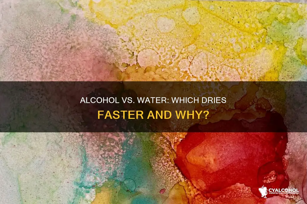 do alcohol dry faster than water