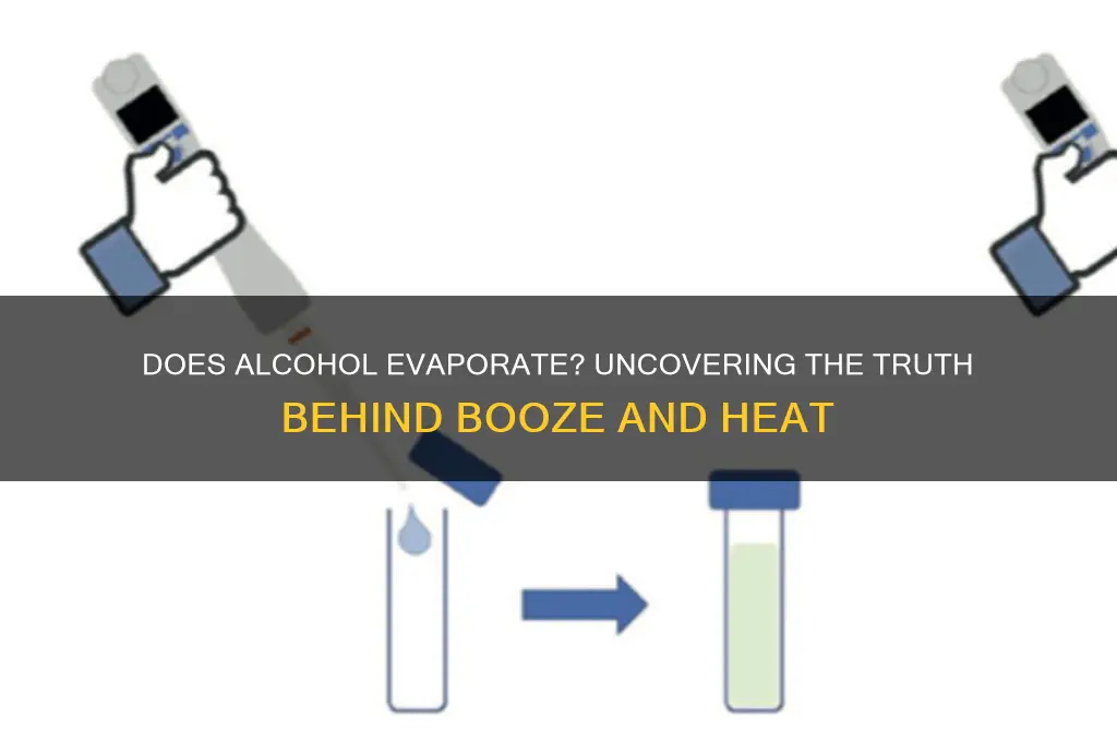 do alcohol evaporate