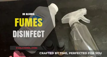 Alcohol Fumes: Effective Disinfectant or Just a Myth?