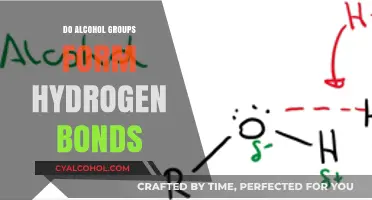 Exploring Alcohol Groups: Do They Form Hydrogen Bonds?