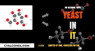 Does Alcohol Contain Yeast? Unveiling the Fermentation Process
