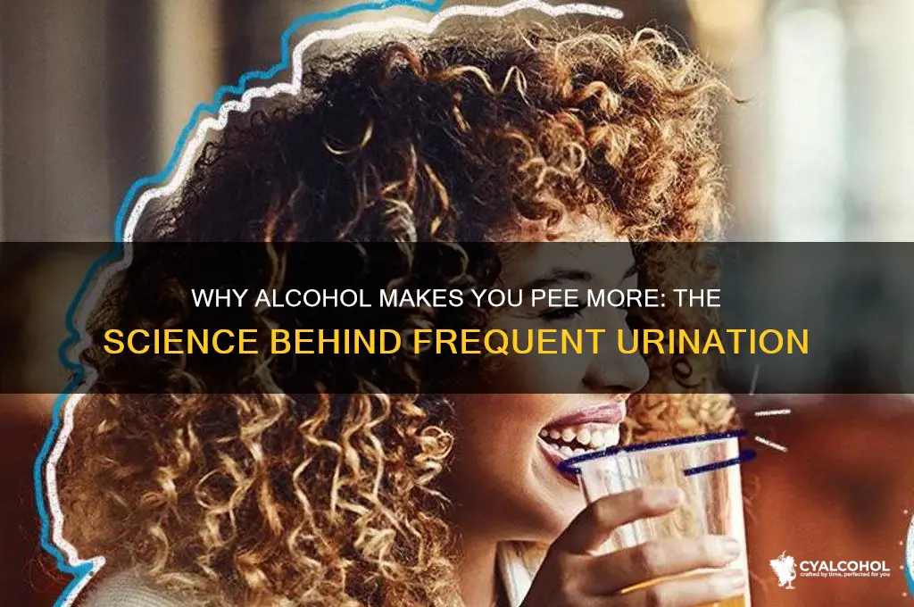 do alcohol increase need to pee