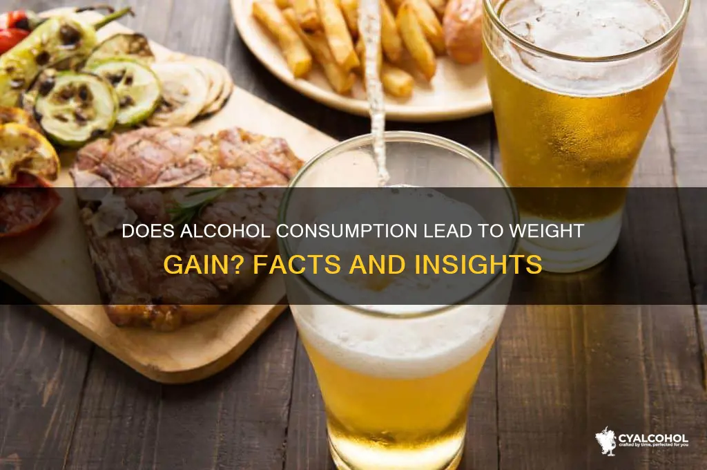do alcohol increase weight